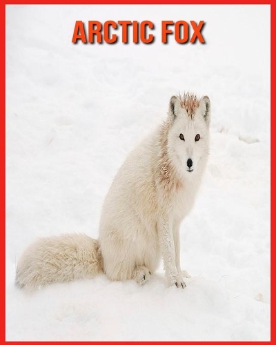 Arctic Fox