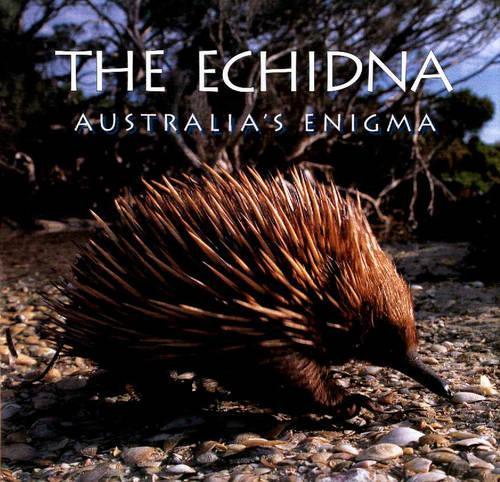 Echidna