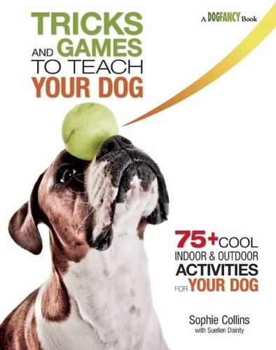 Tricks and Games to Teach Your Dog