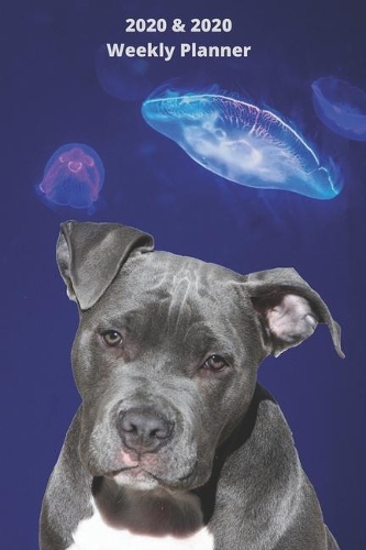 2020 & 2021 Two-Year Weekly Planner For Pitbull Owner Gift - Funny Quote Appointment Book - Two Year Daily Agenda Notebook With Staffordshire Terrier Dog: Surreal Art Goal Planning Logbook - Month Calendar: 2 Years of Monthly Plans - Personal Day Log