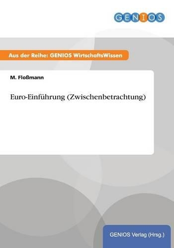 Euro-Einführung (Zwischenbetrachtung)