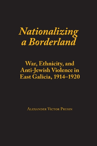 Nationalizing a Borderland: War, Ethnicity, and Anti-Jewish Violence in East Galicia, 1914–1920(Judaic Studies Series)