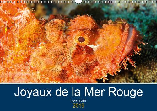 Joyaux de la Mer Rouge 2019