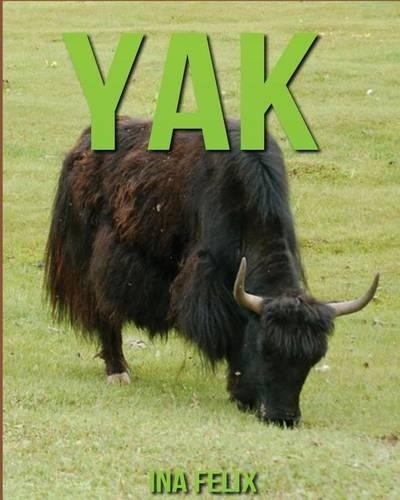 Yak: Children Book of Fun Facts & Amazing Photos on Animals in Nature - A Wonderful Yak Book for Kids aged 3-7