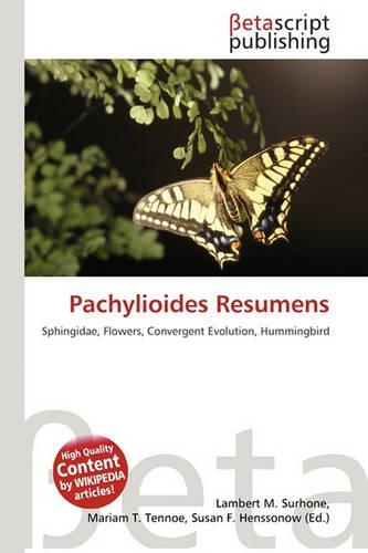 Pachylioides Resumens: (English)