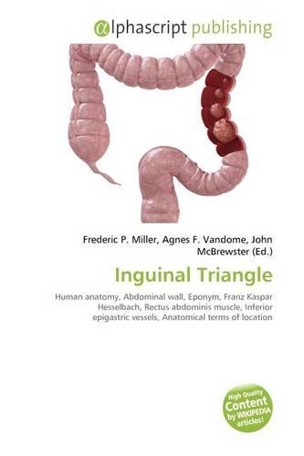 Inguinal Triangle