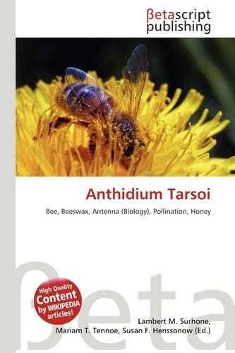 Anthidium Tarsoi