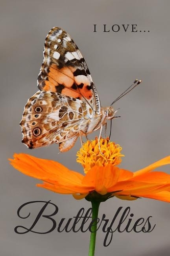 I Love Butterflies