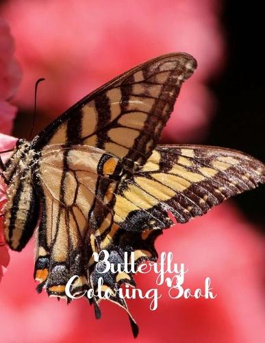 Butterfly Coloring Book: Butterfly Lover Gifts for Toddlers, Kids Ages 2-4, 4-8, Girls Ages 8-12 or Adult Relaxation - Cute Stress Relief Animal Birthday Coloring Book Made 