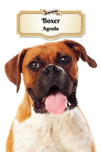 2020 Boxer Agenda