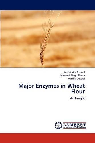 Major Enzymes in Wheat Flour