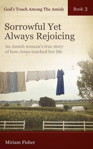 God's Touch Among The Amish Book 3