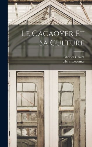 Le Cacaoyer Et Sa Culture