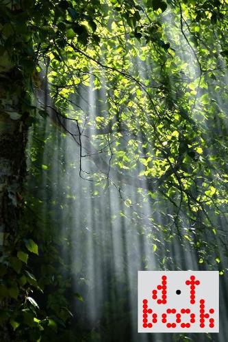 The Dot Book - A Dot Grid Notebook for Graphic Designers - Light Series - 030