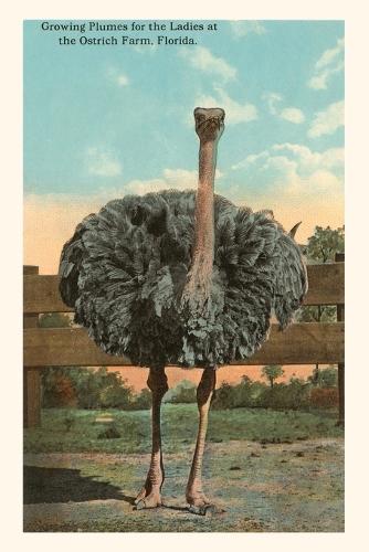 Vintage Journal Ostrich, Florida: (Pocket Sized - Found Image Press Journals)
