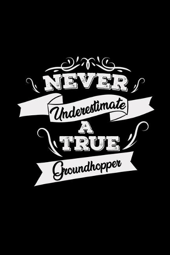 Never underestimate a true groundhopper: 6x9 GROUNDHOPPING - lined - ruled paper - notebook - notes