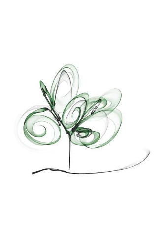 Was Muss Ich Heute Erledigen?