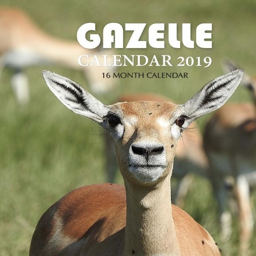 Gazelle Calendar 2019: 16 Month Calendar