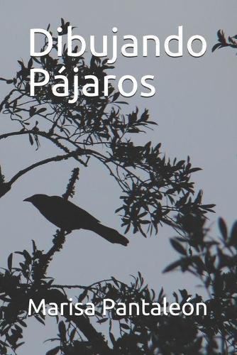 Dibujando Pájaros