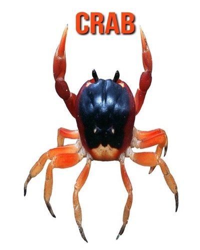 Crab