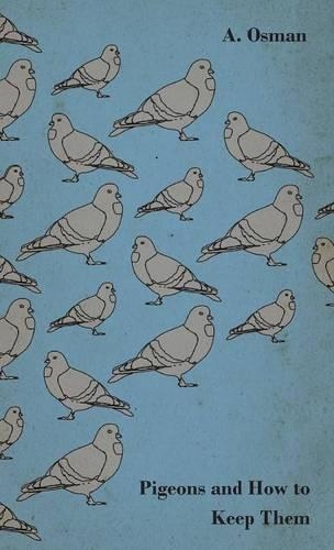 Pigeons And How To Keep Them: (English)