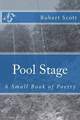 Pool Stage: A Small Book of Poetry(English)