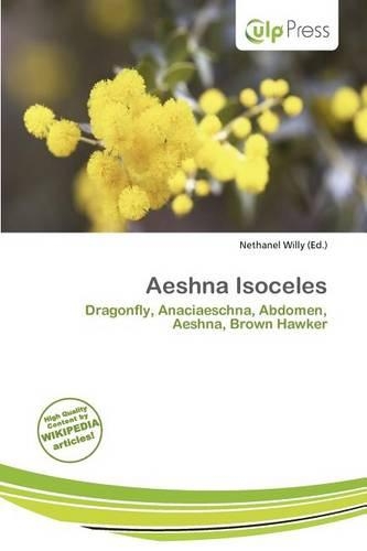 Aeshna Isoceles