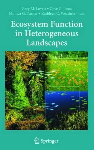 Ecosystem Function in Heterogeneous Landscapes