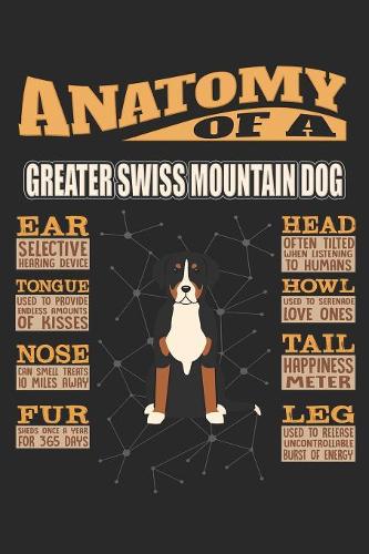 Anatomy Of A Greater Swiss Mountain Dog