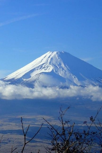Mt Fuji Notebook
