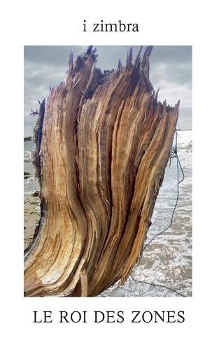 Le roi des zones