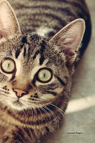 Journal Pages - Cats Eye (Bullet Journal)