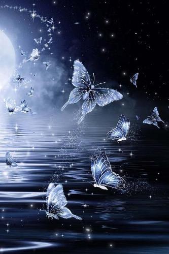 Butterflies and Moonlight Notebook