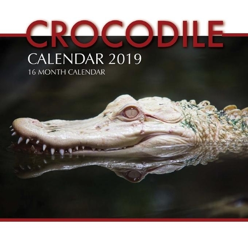 Crocodile Calendar 2019