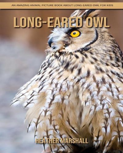 Long-eared owl: An Amazing Animal Picture Book about Long-eared owl for Kids