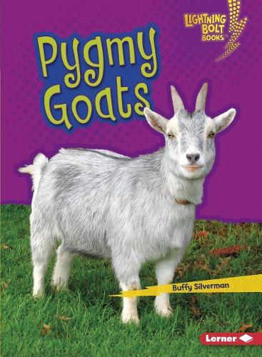 Pygmy Goats: (Little Pets)