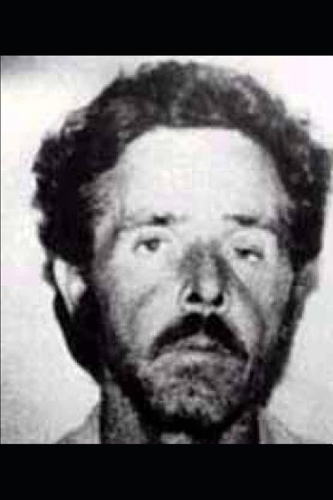 Echoes of a Damaged Mind