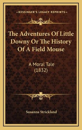 The Adventures Of Little Downy Or The History Of A Field Mouse
