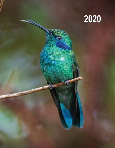 Low Vision 2020 Daily Planner: Large Print Daily Calendar for Visually Impaired with Bold Lines on White Paper