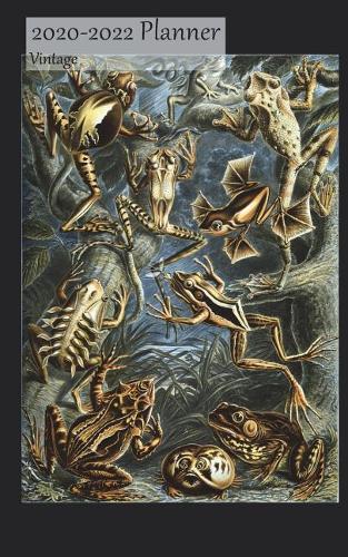 2020-2022 Planner Vintage: 3 Year 2020-22 Monthly Calendar Organizer Appointment Book, Frogs Cover, Three Years 36 Months, 5x8, with Yearly and Address Pages