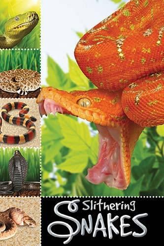 Slithering Snakes: (Ready To Read)