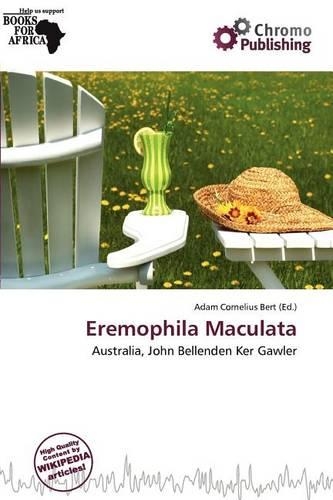 Eremophila Maculata: (English)