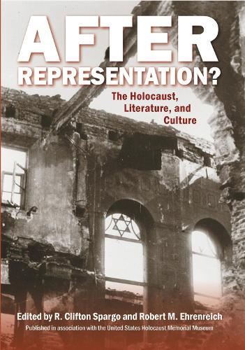 After Representation?: The Holocaust, Literature, and Culture(English)