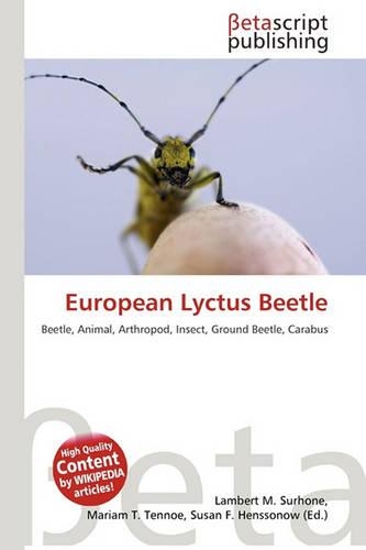 European Lyctus Beetle