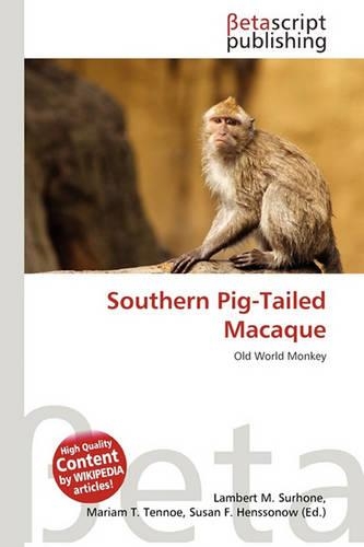 Southern Pig-Tailed Macaque