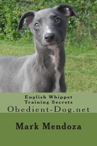 English Whippet Training Secrets