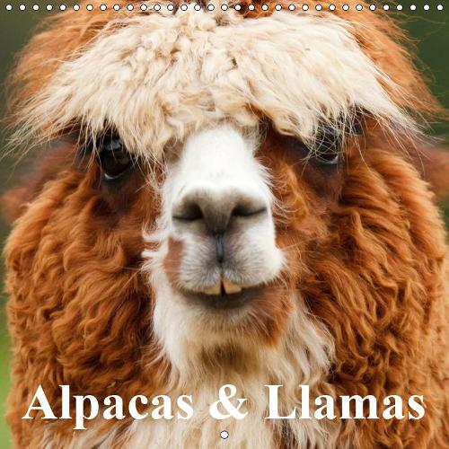 Alpacas & Llamas 2019