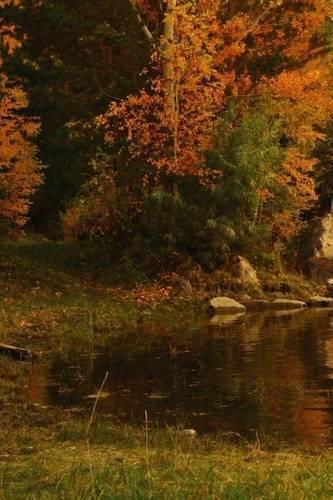 Mind Blowing Autumn Paradise 200 page lined journal: 200 page lined journal(English)