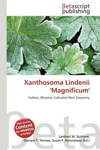 Xanthosoma Lindenii 'Magnificum'