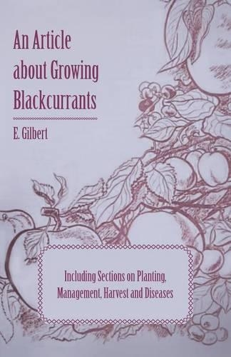 An Article About Growing Blackcurrants Including Sections on Planting, Management, Harvest and Diseases